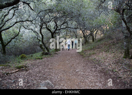 people, walking, hiking trail, Arroyo de San Jose, waterfall, open space district, Novato, Marin County, California Stock Photo