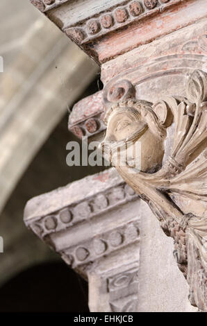 A grotesque head sprouts foliage from its mouth on a capital in the Cathédrale Saint-Vincent, Chalon-sur-Saône, France. Stock Photo