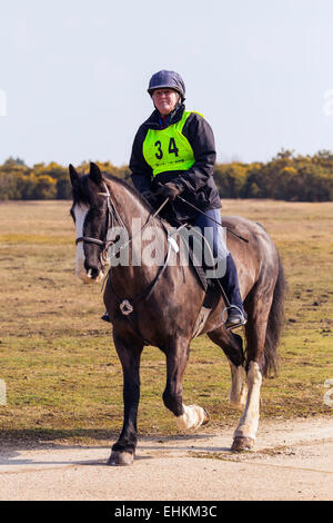 An old woman is riding her horse in the New Forest National Park. She's wearing a helmet and hi vis vest. Stock Photo