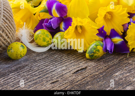 easter daffodils and irise Stock Photo