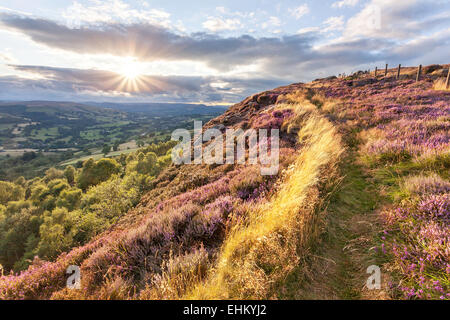 The sun bursts through over Peak District heather above Hope Valley, Derbyshire. Stock Photo