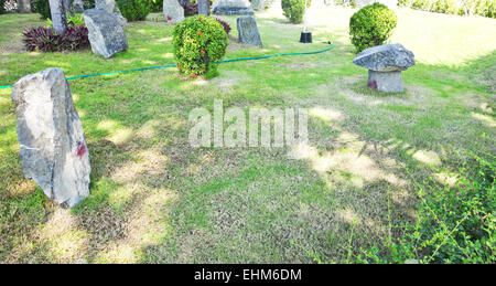 garden with lawn Stock Photo