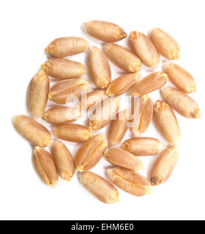 wheat grain isolated on white background Stock Photo