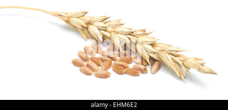 wheat ears and grain isolated on white background Stock Photo