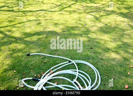 garden hose for water on the green grass Stock Photo