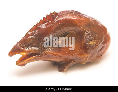 grilled chicken head isolated on white background Stock Photo