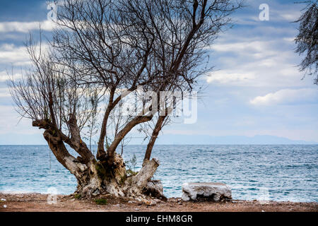 Cold and windy day by the sea Stock Photo