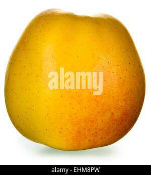 One yellow apple isolated on white background, focus area is increased by combining multiple pictures Stock Photo