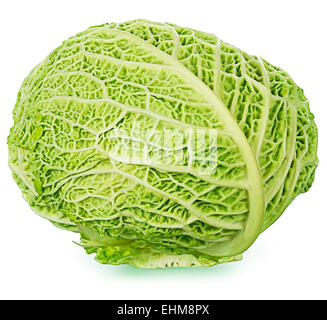 Fresh savoy cabbage isolated on white background Stock Photo
