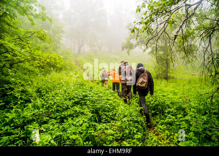 Caucasian hikers walking in misty forest Stock Photo