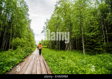 Caucasian hiker on wooden walkway in forest Stock Photo