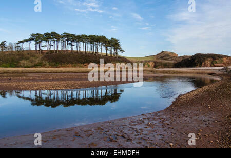 River Otter Estuary,  Budleigh Salterton, East Devon, England, UK Stock Photo