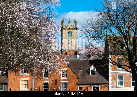 St Julian's Church in Spring time, Shrewsbury, Shropshire, England. Stock Photo