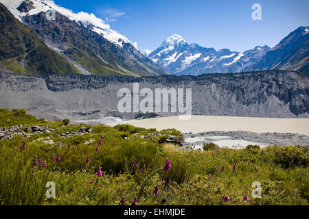 Tasman Glacier Lake and Mount Cook, Aoraki, South Island, New Zealand Stock Photo