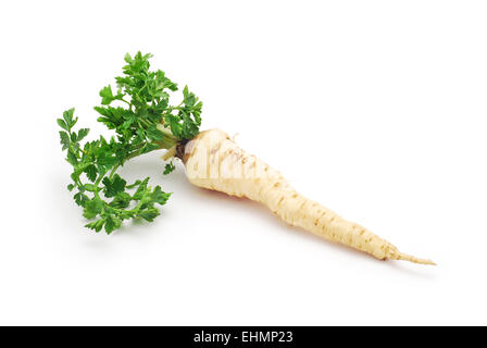 parsley root on white background Stock Photo