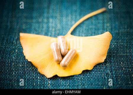 Ginkgo biloba and pills. Stock Photo