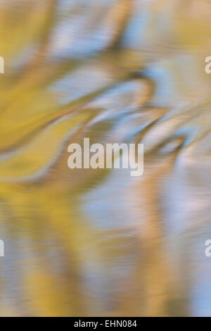 reflections in a creek, abstract, Lapland, Sweden Stock Photo
