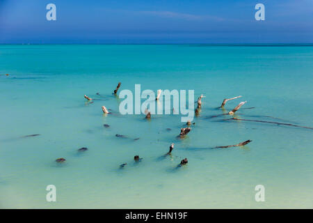 Beach of Cayo Levisa, Cuba. Stock Photo