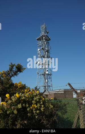 Microwave communications tower Stock Photo
