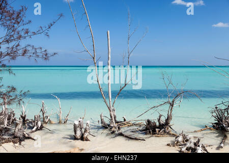 Cayo Levisa. Cuba. Stock Photo