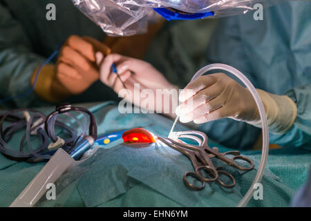 Surgeon performing cochlear implant surgery, an operation involving the implantation of a small electronic device used to provide a sense of sound to a deaf person, Limoges hospital, France. Stock Photo