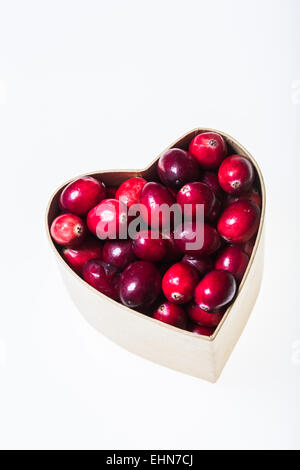 Fresh cranberries. Stock Photo