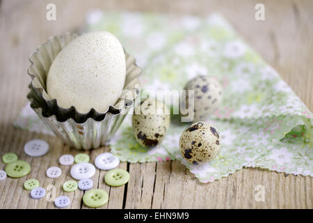 Duck Egg and Quail Eggs Stock Photo