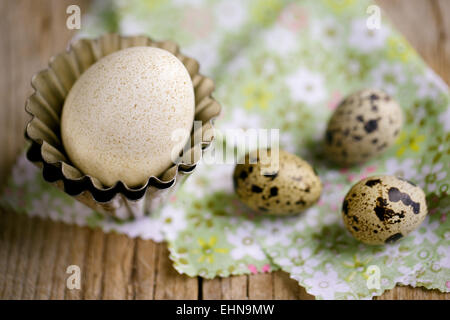 Duck Egg and Quail Eggs Stock Photo