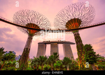 SINGAPORE - MARCH 19: Night view of The Supertree Grove at Gardens by the Bay on March 19, 2013 in Singapore. Spanning 101 hecta Stock Photo