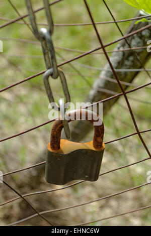 closed rusty padlock on the fence Stock Photo