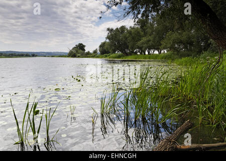 Lower Oder Valley National Park, Brandenburg Stock Photo