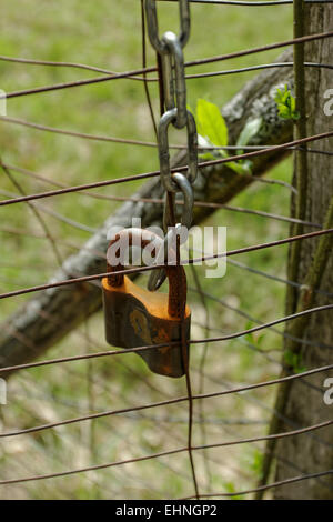 closed rusty padlock on the fence Stock Photo