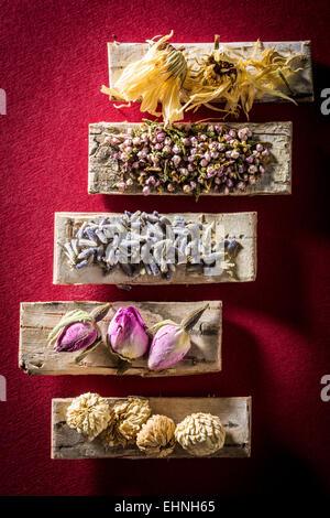 Medicinal herbs, assortment of dried herbs. Stock Photo