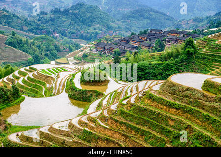 Yaoshan Mountain, Guilin, China hillside rice terraces landscape. Stock Photo