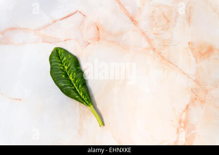 Orange White Marble Texture with Small Green Leaf Background Stock Photo