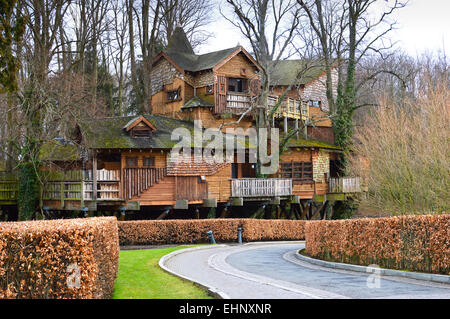 Treehouse restaurant in Alnwick Garden, Northumberland Stock Photo