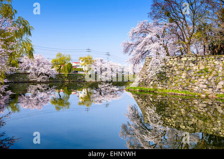 Hikone, Japan at the castle moat during spring season. Stock Photo