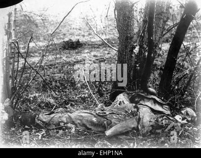 AL-145 WJ O'Dwyer World War One Image Stock Photo