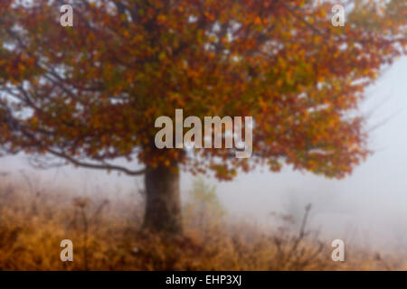 Abstract defocused colorful blurred background. The Ukraine. Stock Photo