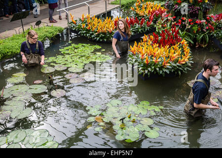 London, UK. 16th March, 2015. The Princess of Wales Conservatory at The Royal Botanical Gardens, Kew Credit:  Guy Corbishley/Alamy Live News Stock Photo