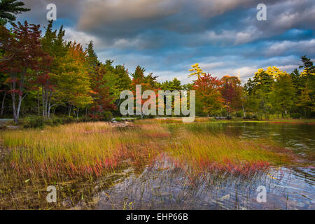 Autumn color at Eagle Lake, in Acadia National Park, Maine. Stock Photo