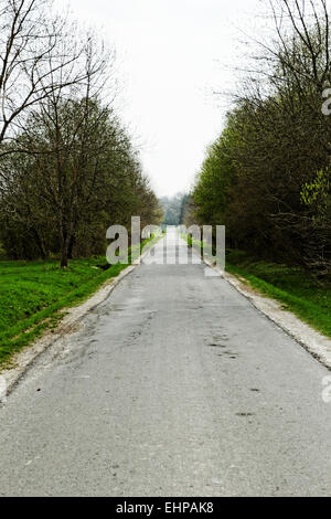 asphalt road into the forest Stock Photo