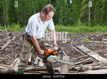 The man in wood saws a tree a chain saw Stock Photo