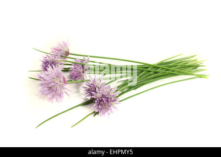 chives with leaf and blossom Stock Photo
