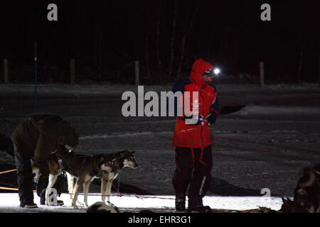 Norwegian adventurer, Lars Monsen, arriving at checkpoint Varangerbotn during the Finnmark dog race 2015 Stock Photo