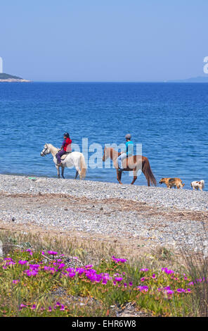 Horse riding at Psaropouli beach in the northeastern Evia, Aegean sea, Greece Stock Photo