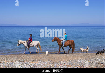 Horse riding at Psaropouli beach in the northeastern Evia, Aegean sea, Greece Stock Photo