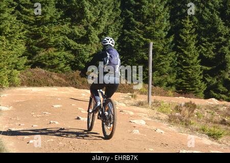 Park schaltung hi-res stock photography and images - Alamy