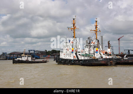 Tugs in the outer harbor Stock Photo