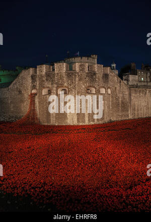 The poppy exhibition for Remembrance Day at the Tower of London Stock Photo